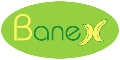 Banex Group